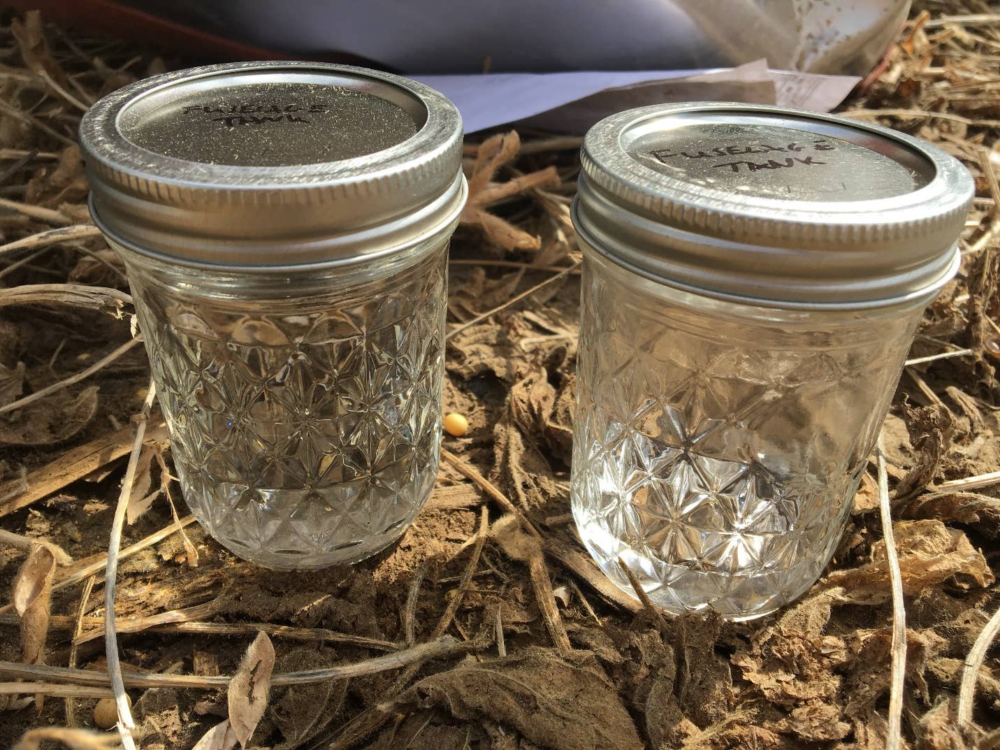 Jars of Jet A kerosene taken from the airplane - Misfueling Leads To Disaster in Kokomo, Indiana