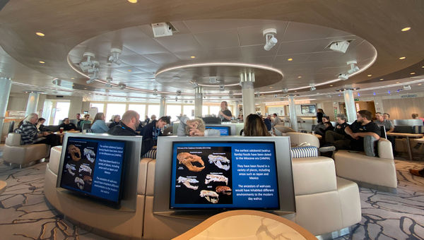 Lindblad fans will note that the Ice Lounge is the fleet's most state-of-the-art gathering area for daily talks and presentations, with high-definition screens in every seating nook.